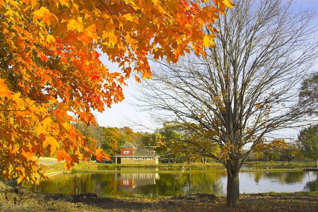 十二生肖属猴的人今年的虚岁和实岁-属猴的人今年多大年龄了2020年