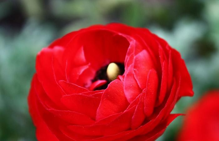 生肖猴从几岁开始，不容易亏钱，赚钱数字与日俱增-1992年出生的属猴人2023年运势