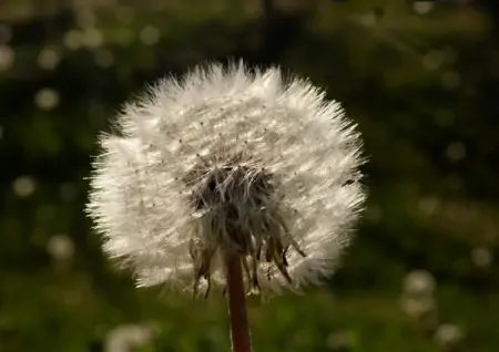 未来12天财神不请自来，好运缠身，喜事进家门的4大生肖-财神到家后一句