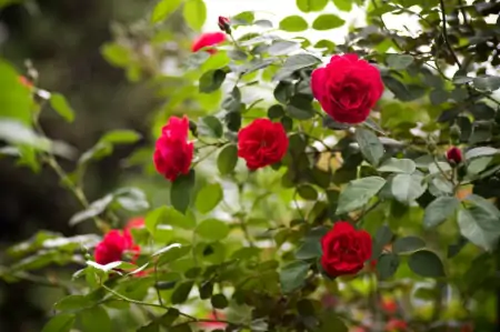 2月开始运势上佳，财运飙升，翻身做人上人的四大生肖-翻身做主的生肖