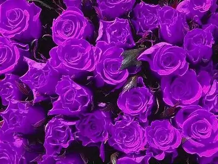 10月开始福星临门，财富数不清，天天都笑醒的四大生肖-福星10.24