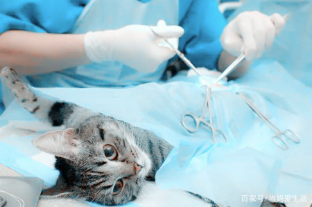 生娃后不想再生，到底哪种避孕方法最好？第3种简单却遭人厌弃-不生孩子最好的避孕方法