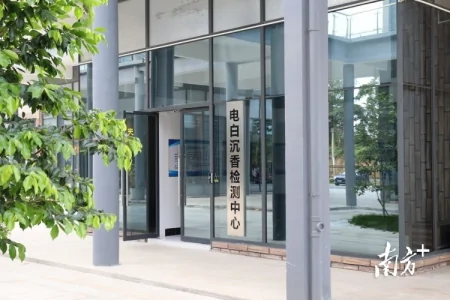 电白沉香检测中心通过CMA资质认定，报告具法律效力-电白沉香图片