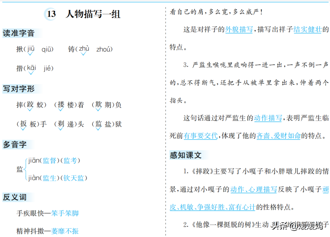 部编版语文五年级下册第五单元知识梳理及考点清单