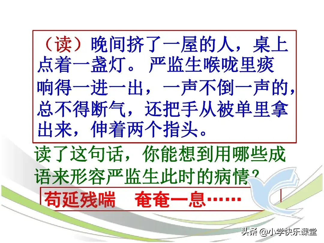 小学语文部编版五年级下册第13课《两茎灯草》知识点、图文解读-部编版三年级语文课本下册电子版