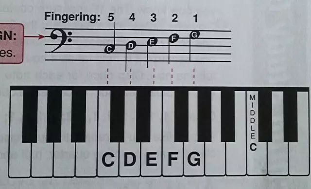 零基础学习钢琴-钢琴1234567指法 | 钢琴入门教程（钢琴入门指法教程 入门教程）