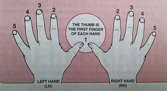 零基础学习钢琴-钢琴1234567指法 | 钢琴入门教程（钢琴入门指法教程 入门教程）