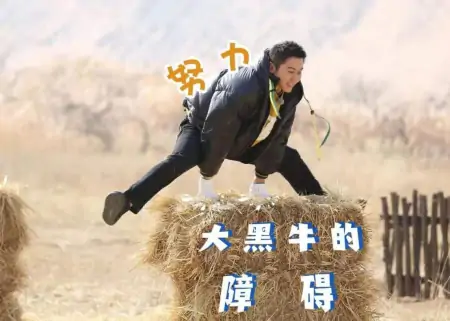 李晨“隐藏”多年身份曝光，原来不只是简单的演员，人生经历丰富-李晨个人经历