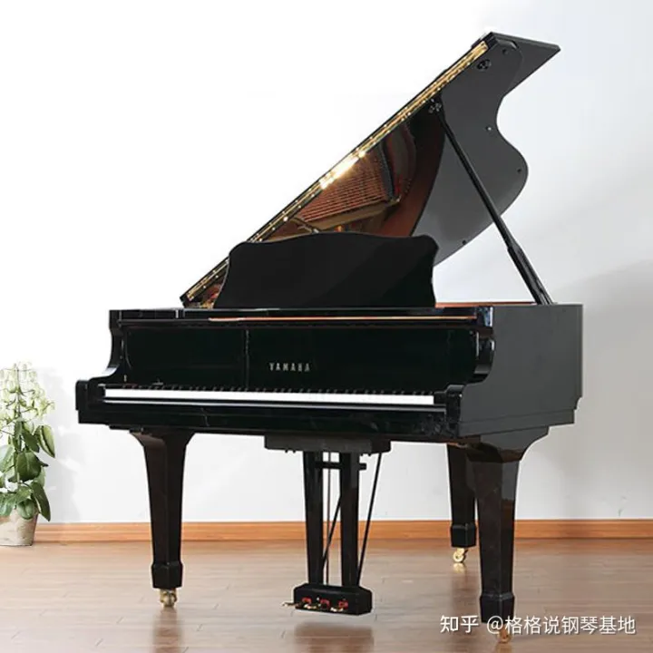 钢琴学习 | 钢琴入门教程：手指操~（钢琴入门手指弹奏法视频）