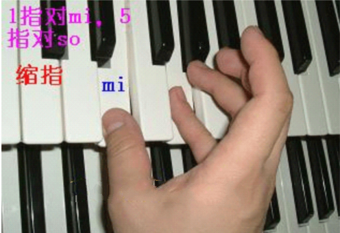 钢琴演奏的五种基本指法，想学钢琴的人一定不要错过！（钢琴指法基础教程）