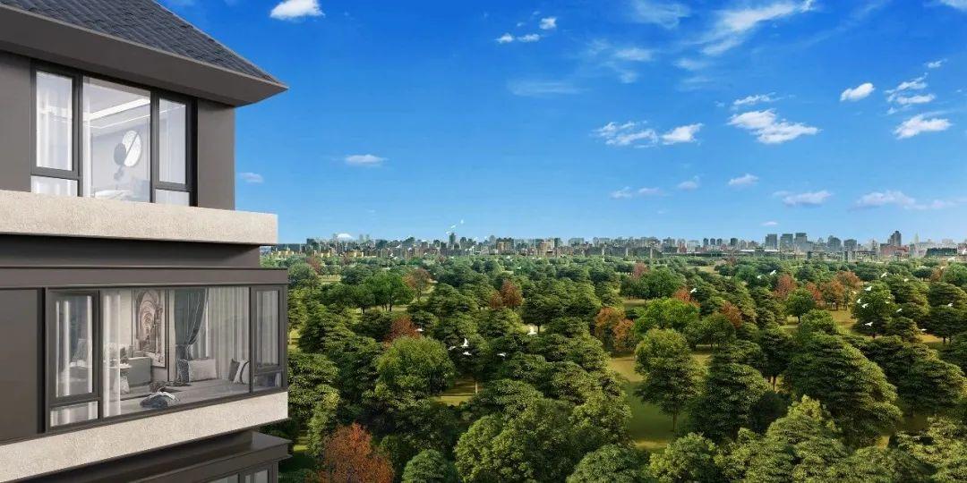 西五环 西山金茂府 | 十一学校十二中分校，地铁/轻轨名校-西山金茂府值得买吗