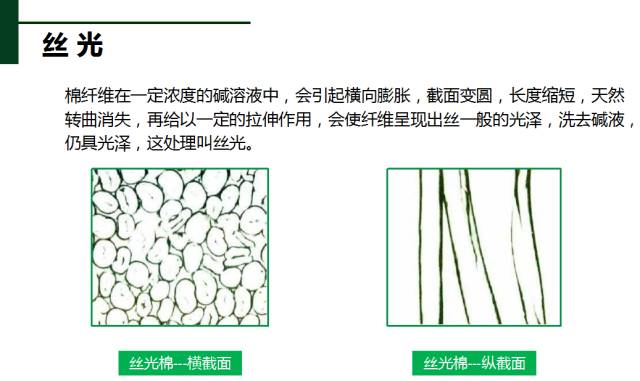 棉、麻、天丝、人棉的区别（天丝棉和棉麻哪个好）