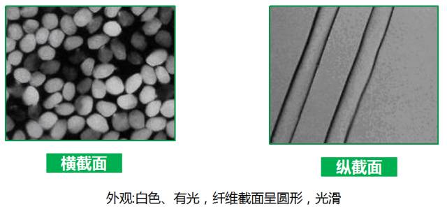 棉、麻、天丝、人棉的区别（天丝棉和棉麻哪个好）