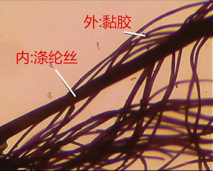 棉、麻、天丝、人棉的区别（天丝棉和棉麻哪个好）