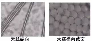 棉、麻、天丝、人棉的区别（天丝棉和棉麻哪个好）
