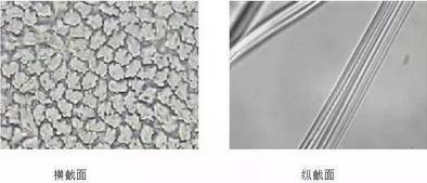 棉、麻、天丝、人棉的区别（天丝棉和棉麻哪个好）