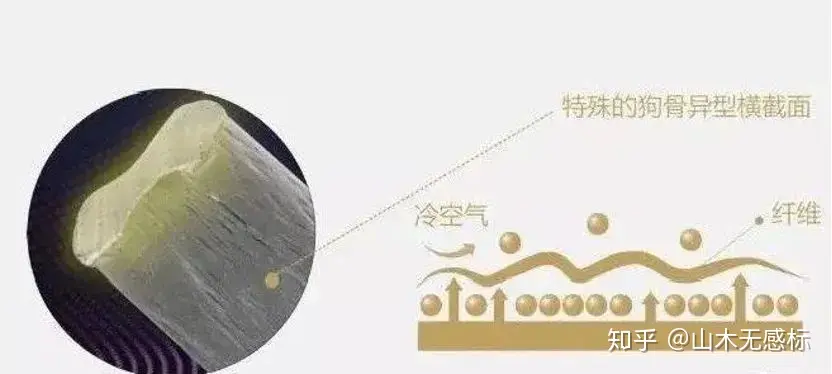 干货|火爆这个冬季的德绒到底是什么神仙面料？扒底文奉上！（德绒的优点和缺点）