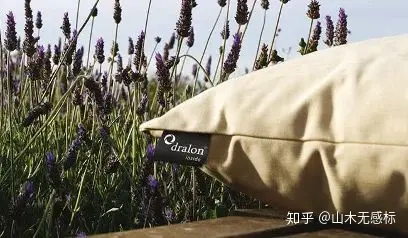 干货|火爆这个冬季的德绒到底是什么神仙面料？扒底文奉上！（德绒的优点和缺点）