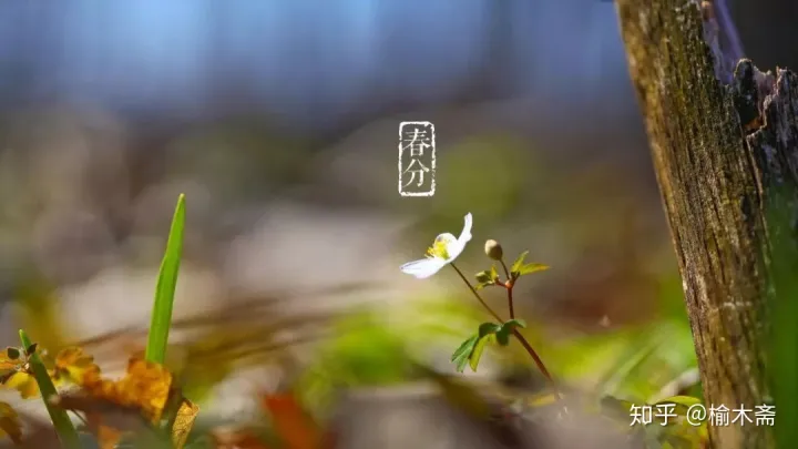 古代传统习俗“八节”浅谈-八大传统节日风俗