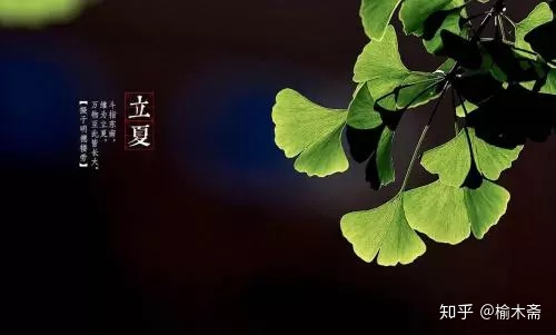 古代传统习俗“八节”浅谈-八大传统节日风俗