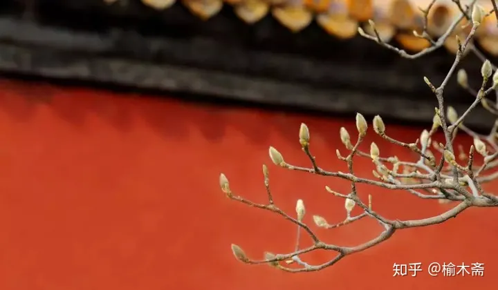 古代传统习俗“八节”浅谈-八大传统节日风俗