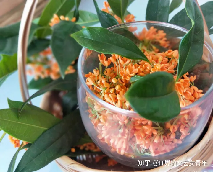 科普下“节”和“气”的不同-节气 节和气