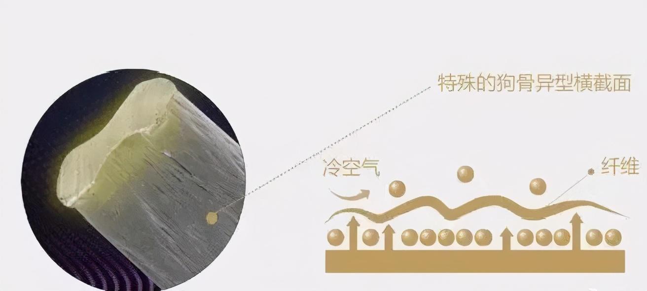 最近很火的「德绒」到底是什么面料？（德绒是一种什么材料）