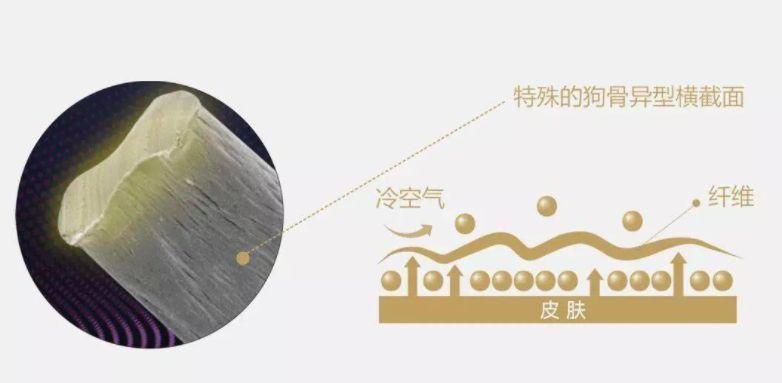 德绒内衣真会“自发热”？有些误区要了解，别被商家噱头给忽悠了（dralon德绒发热内衣）