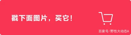 今秋流行一种穿搭，叫“德绒衫”+半身裙，聚会脱下外套也不尴尬（德绒打底衫有什么好处）