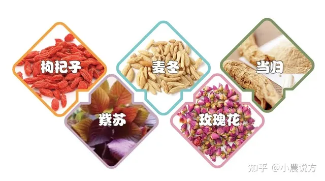 养肝护肝吃什么最好，这篇告诉您（养肝护肝吃什么食物最好窍门）