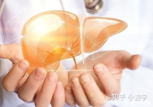 七种养肝蔬菜，春、夏季吃最养肝（硬化的肝怎么软化回来）