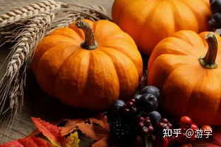 七种养肝蔬菜，春、夏季吃最养肝（硬化的肝怎么软化回来）