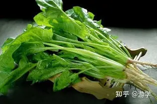 七种养肝蔬菜，春、夏季吃最养肝（硬化的肝怎么软化回来）