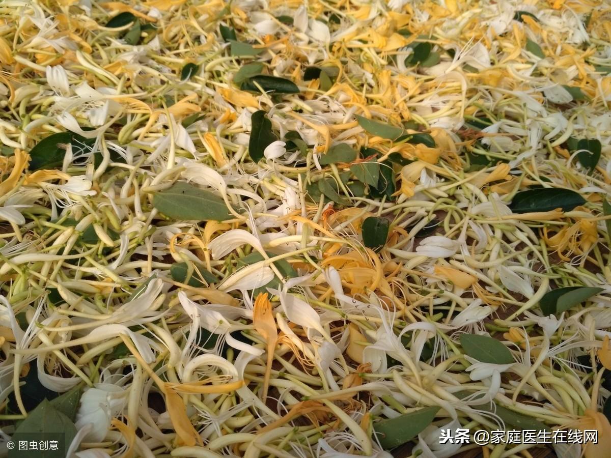 经常吃这3种食物，你的肝脏会被“养”得更好（3种伤肝食物）