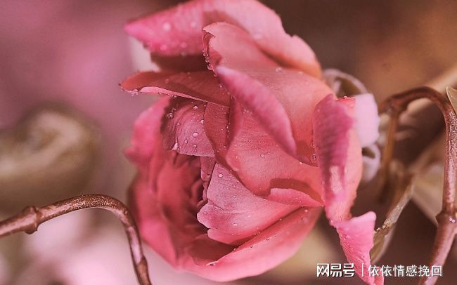 男生应该如何挽回自己的妻子，挽回自己的老婆-男人如何挽回情人的话