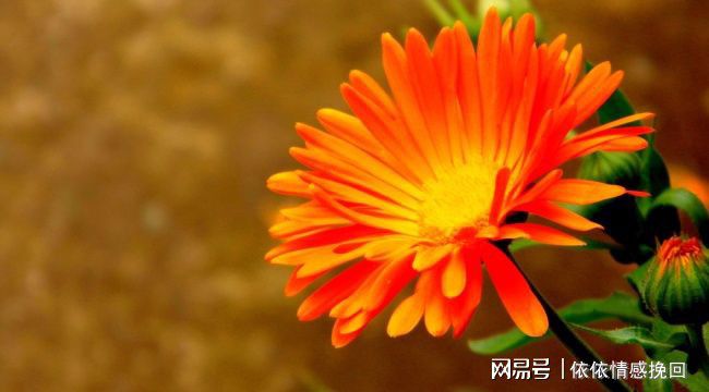 男生应该如何挽回自己的妻子，挽回自己的老婆-男人如何挽回情人的话