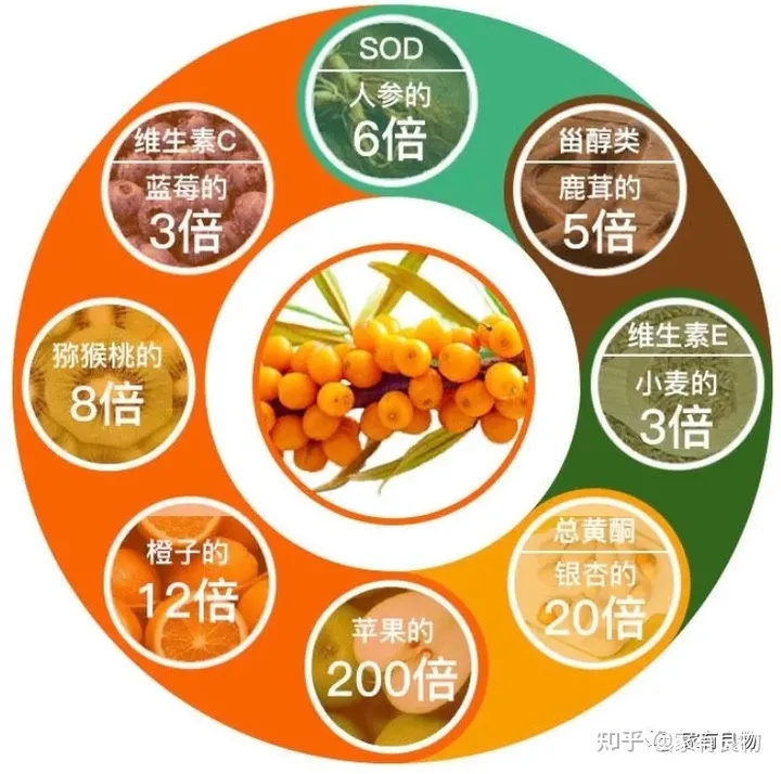 深圳家有良物——沙棘原浆   大自然的馈赠-沙棘原浆