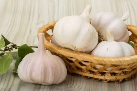 日常饮食常吃6种食物，或能养肝护肝（养肝护肝吃什么好呢女生）