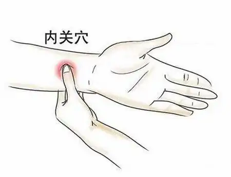 这些食物是肝部“大救星”，每天吃一点，养肝润肺，清除肝部垃圾（养肝的食物排行）