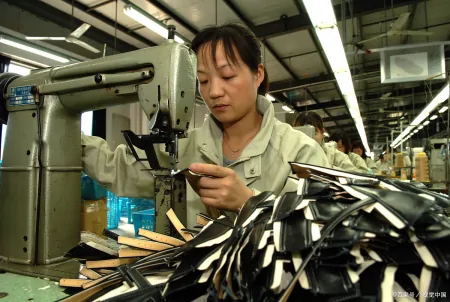 为什么办理ISO体系认证要找咨询公司呢？（iso认证要咨询机构吗）