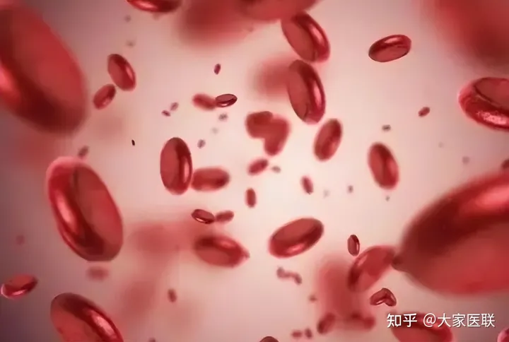 贫血的早期症状有哪些？-贫血早期症状和前兆