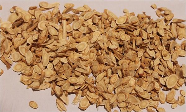 中年人每天用“黄芪”泡水喝，身体会收获哪些好处？不妨了解一下（经常用黄芪泡水喝对身体有什么好处）