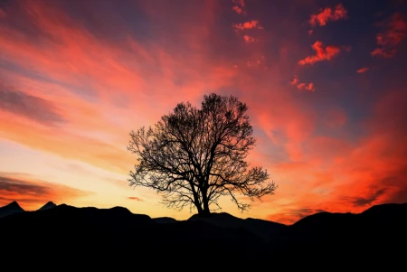 一个人倒霉之前，往往会出现这5个征兆，有一个，也要注意了！-当一个人倒霉的时候该怎么办