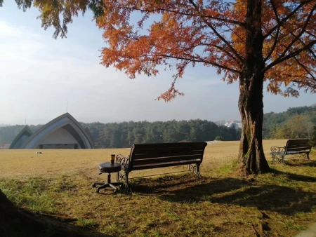 一个人倒霉之前，往往会出现这5个征兆，有一个，也要注意了！-当一个人倒霉的时候该怎么办