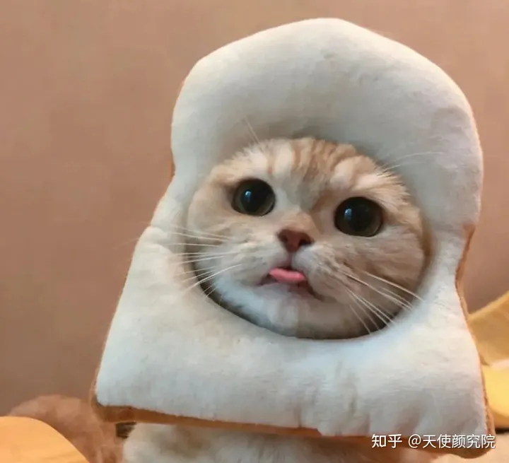 郑秀妍这段太蛊了吧！芒果台怎么能删了不播？？！（郑秀妍签约英皇）