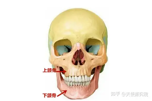 郑秀妍这段太蛊了吧！芒果台怎么能删了不播？？！（郑秀妍签约英皇）