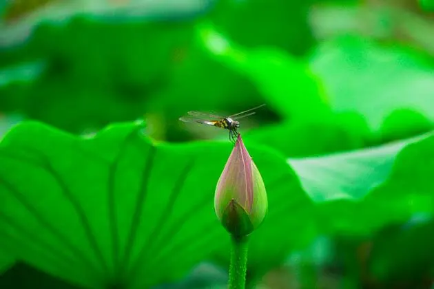 《西游记》中有哪些细思极恐的情节？（《西游记》中有哪些细思极恐的情节呢）