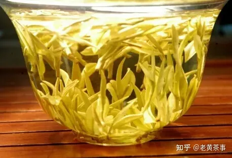 珍稀白茶是白茶还是绿茶？-珍稀白茶是绿茶吗