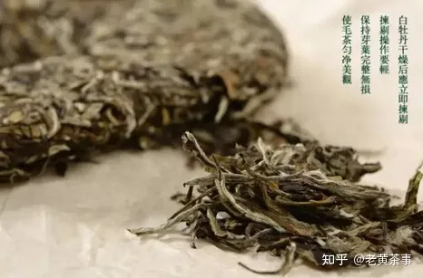 珍稀白茶是白茶还是绿茶？-珍稀白茶是绿茶吗