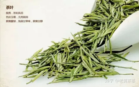 珍稀白茶是白茶还是绿茶？-珍稀白茶是绿茶吗